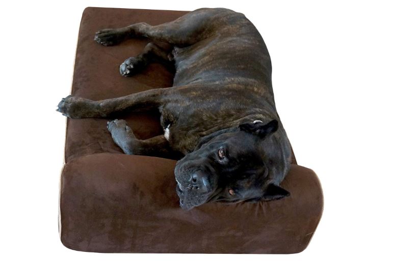memory foam dog bed with waterproof liner