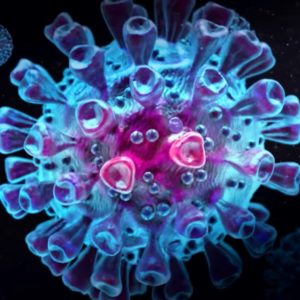 Everything You Should Know About Coronavirus & Advice for Public Everything You Should Know About Coronavirus & Advice for Public