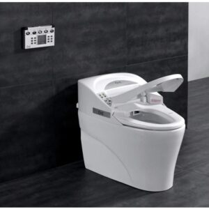 8 Best Modern Toilets: Brands, Ratings, Reviews, & FAQ's 2021 8 Best Modern Toilets: Brands, Ratings, Reviews, & FAQ's 2021