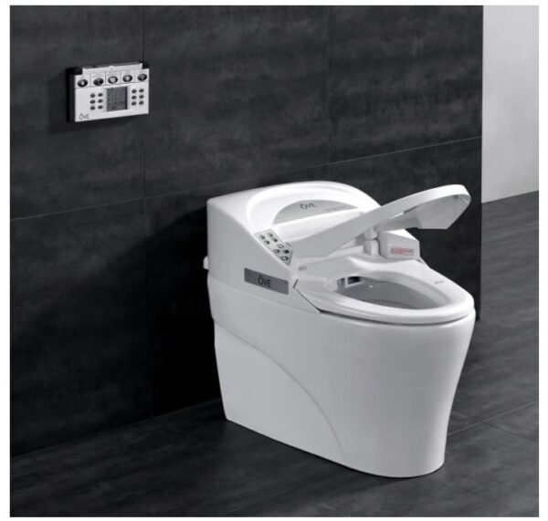 Smart Bidet Toilet Elongated One Piece Modern Desing, Automatic Flushing - BestCartReviews
