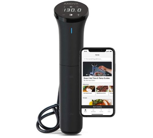 Anova Culinary Sous Vide Precision Cooker Nano by BestCartReviews